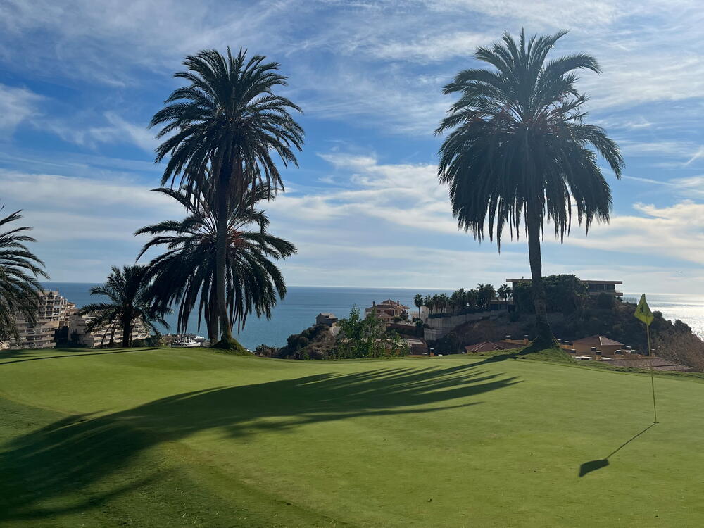 Golfgreen med flag og to palmer med udsigt til havet