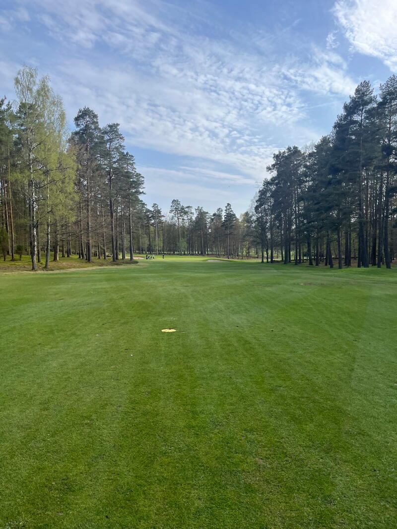 Lige fairway omgivet af høje fyrretræer en solrig dag