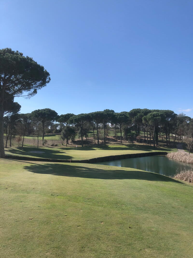 Golfbane med pinjetræer og en sø under klar himmel